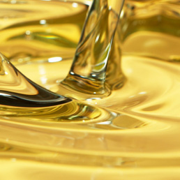 Vegetable Oil 