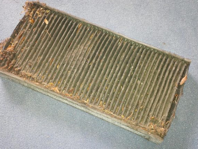 chainsaw Clogged Filter of Air 