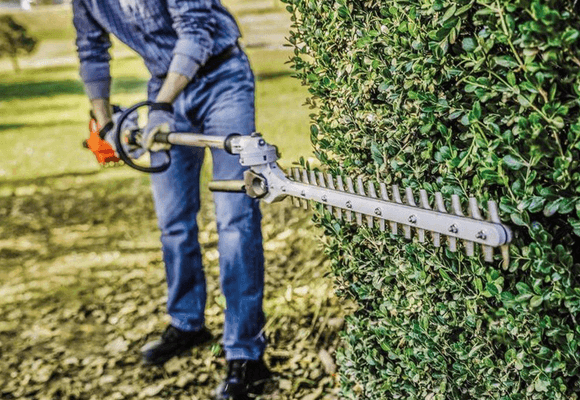 cutting hedge with stihl hedge trimmer